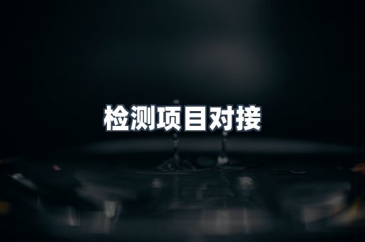 检测项目对接