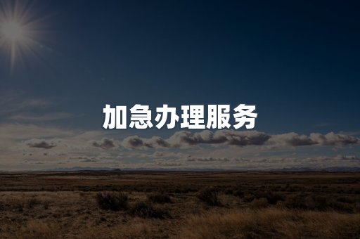 加急办理服务